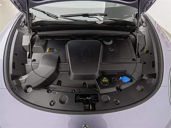 Фото 6 - Ora Lightning Cat (07)