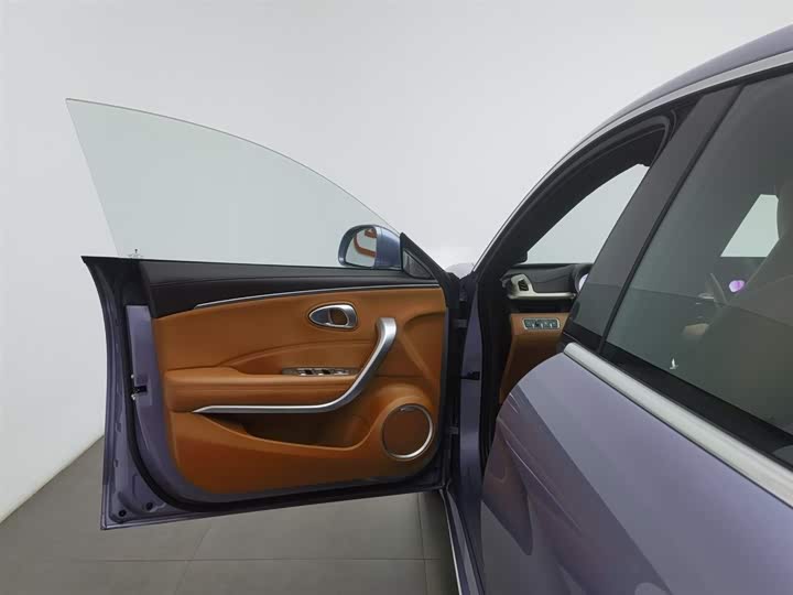 Фото 8 - Ora Lightning Cat (07)