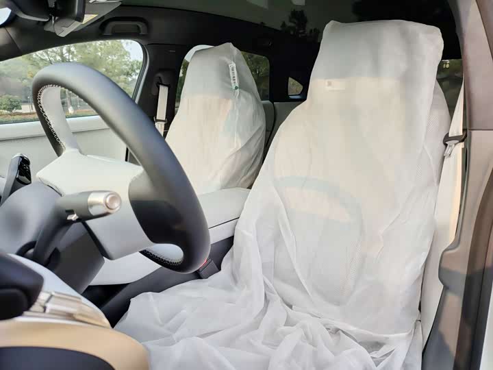 Фото 9 - XPeng F57