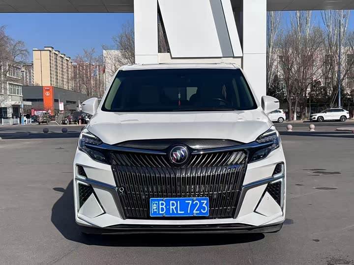 Фото 2 - Buick GL8 ES