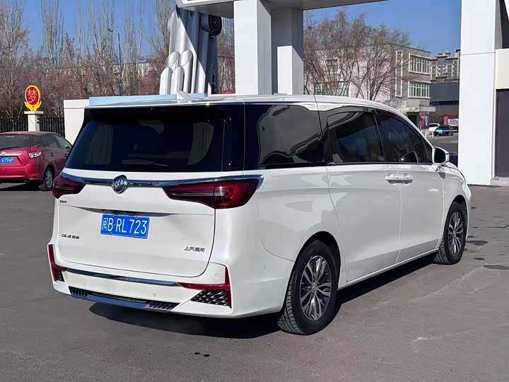 Фото 7 - Buick GL8 ES