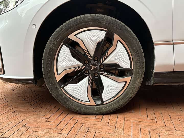 Фото 4 - Voyah Passion