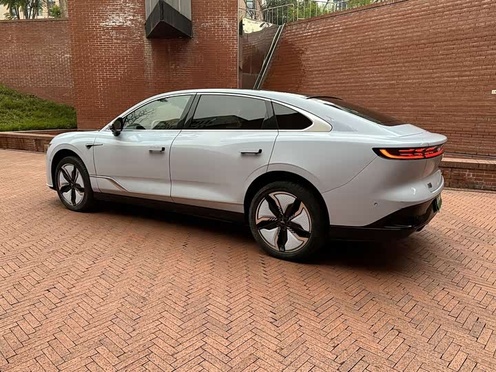 Фото 8 - Voyah Passion