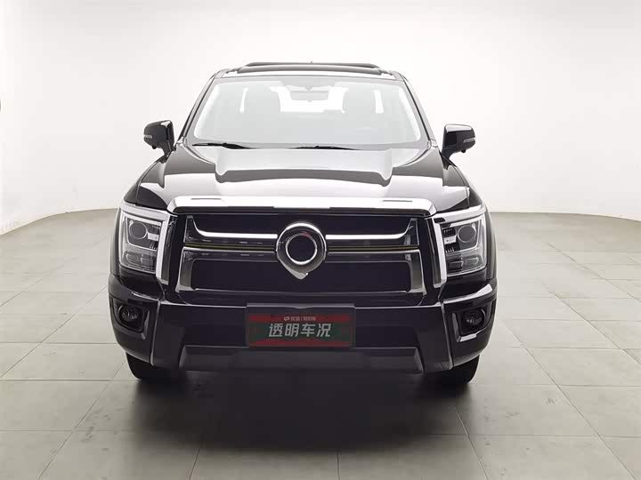 Фото 3 - Great Wall King Kong Poer