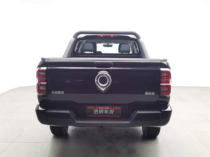 Фото 4 - Great Wall King Kong Poer