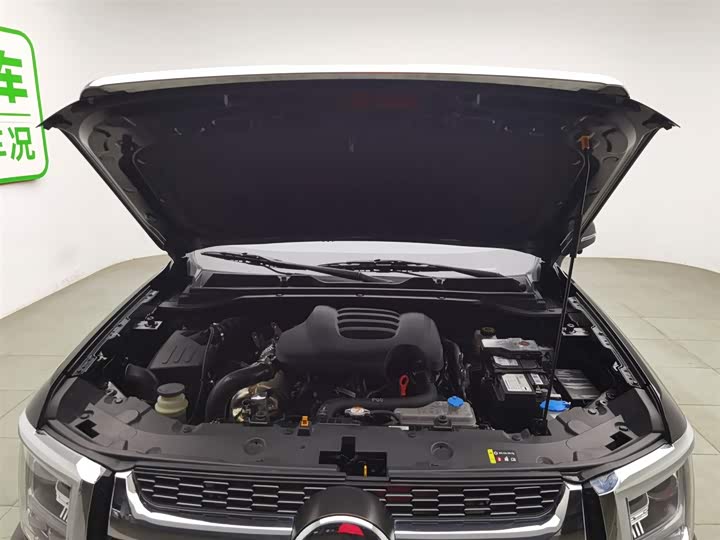 Фото 6 - Great Wall King Kong Poer