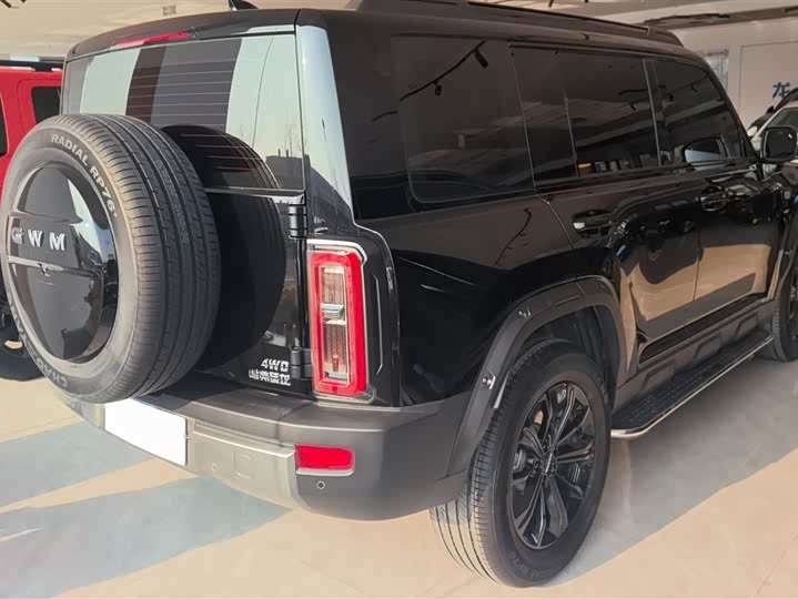 Фото 3 - Haval Raptor