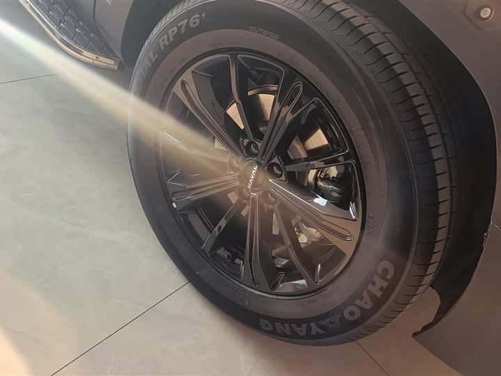 Фото 6 - Haval Raptor