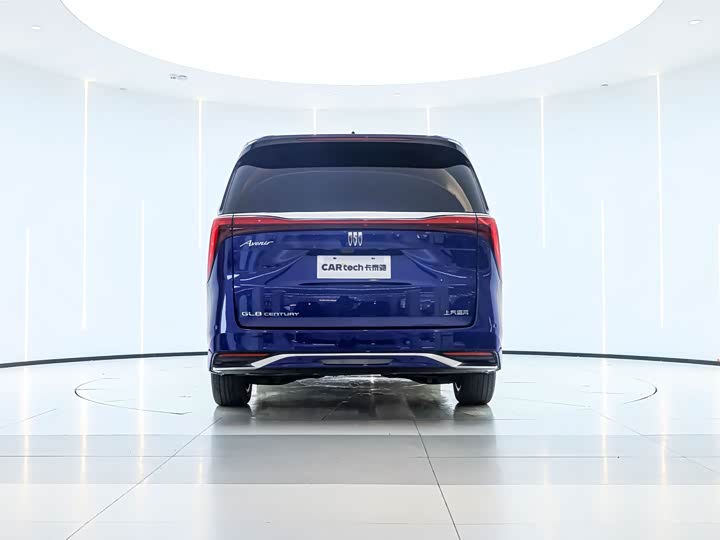 Фото 4 - Buick GL8 Century