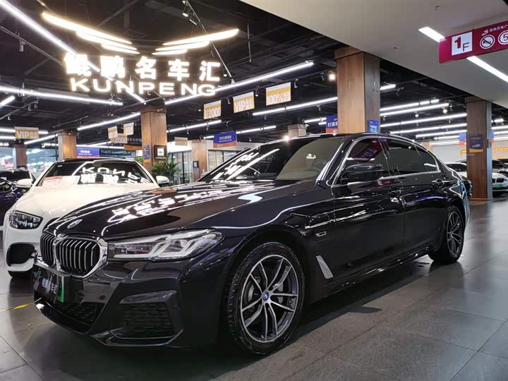 Фото 1 - BMW 5 Series Hybrid