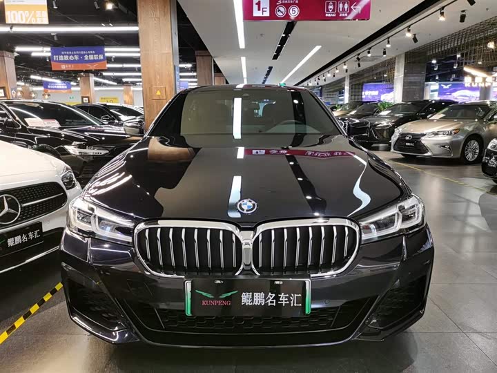 Фото 2 - BMW 5 Series Hybrid