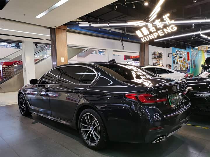 Фото 3 - BMW 5 Series Hybrid