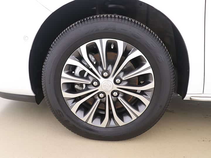 Фото 9 - Buick GL8 ES