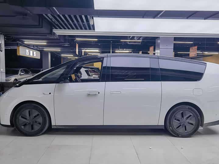 Фото 3 - LiXiang Mega