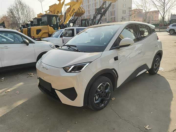 Фото 2 - BYD Seagull