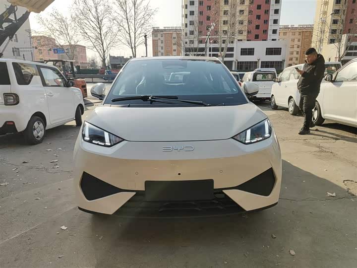 Фото 3 - BYD Seagull