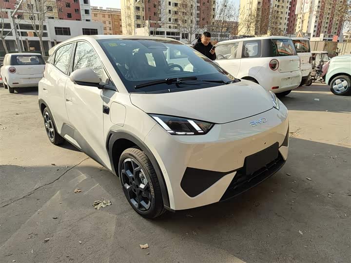 Фото 4 - BYD Seagull