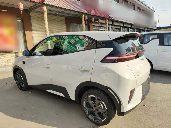 Фото 5 - BYD Seagull