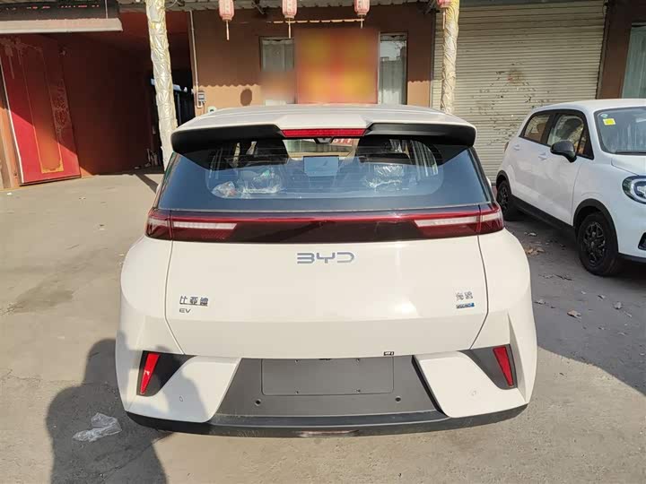 Фото 6 - BYD Seagull