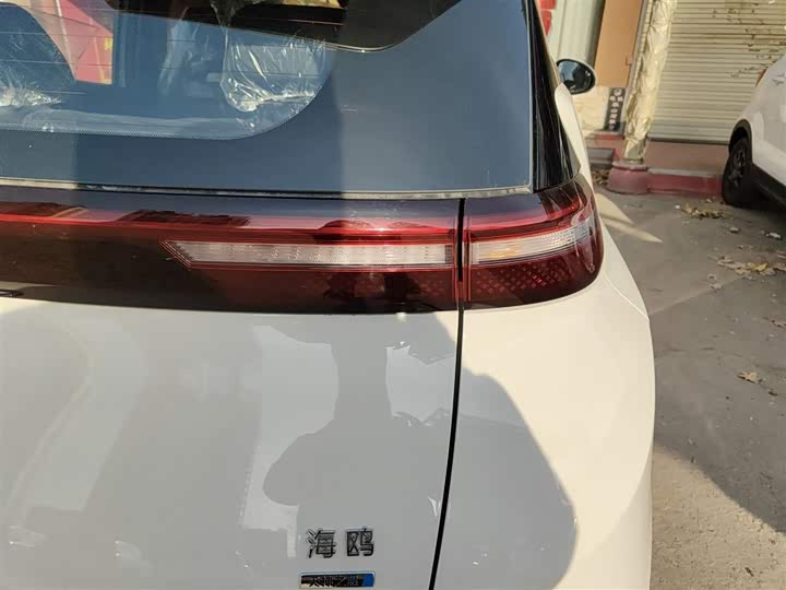 Фото 8 - BYD Seagull