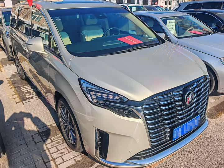 Фото 2 - Buick GL8 ES