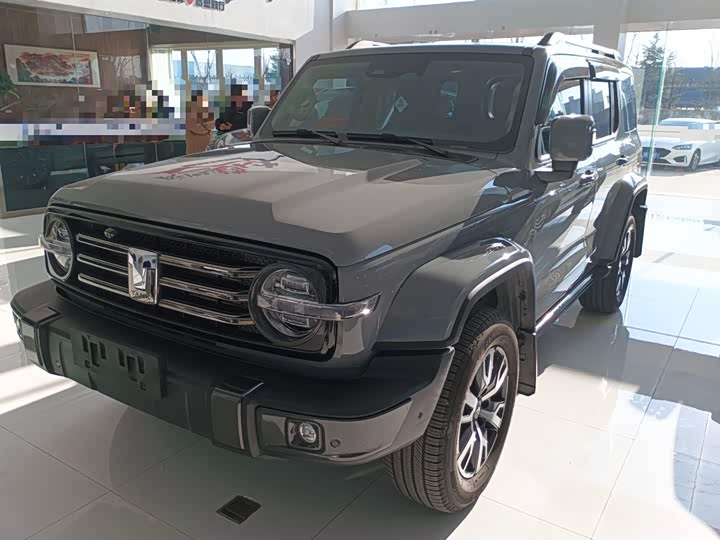 Фото 2 - Tank 300