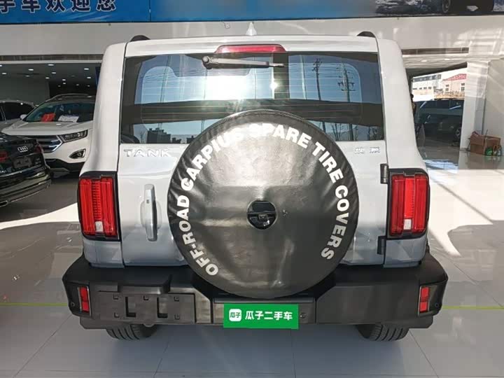 Фото 6 - Tank 300