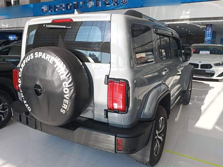 Фото 7 - Tank 300