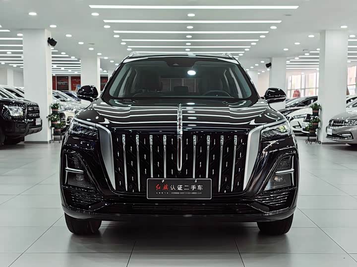 Фото 2 - Hongqi HS5