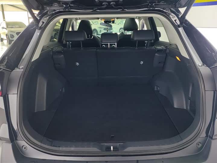 Фото 4 - Toyota Wildlander