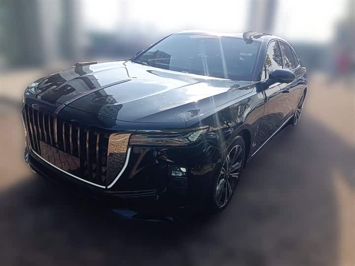 Фото 3 - Hongqi H9
