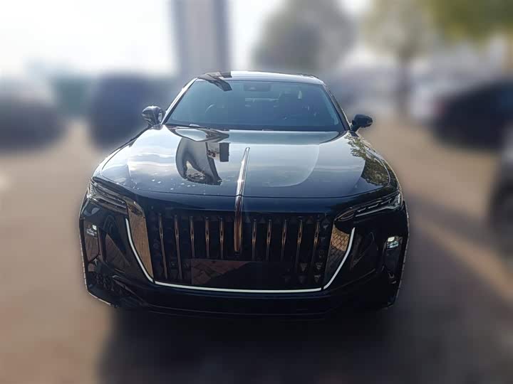 Фото 5 - Hongqi H9