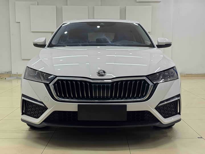 Фото 2 - Skoda Octavia Pro
