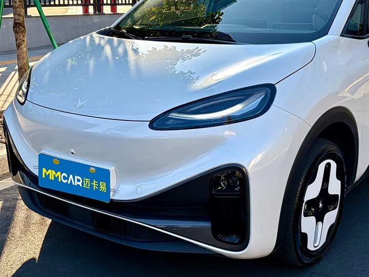 Фото 9 - BAIC Arcfox Kaola S