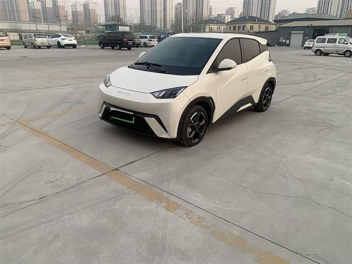 Фото 1 - BYD Seagull