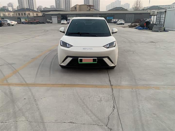 Фото 2 - BYD Seagull