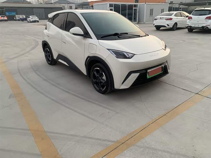 Фото 3 - BYD Seagull