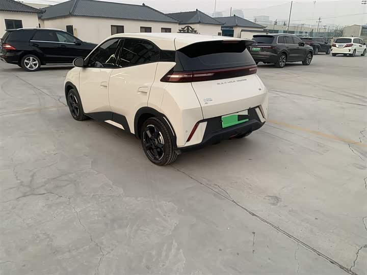 Фото 4 - BYD Seagull