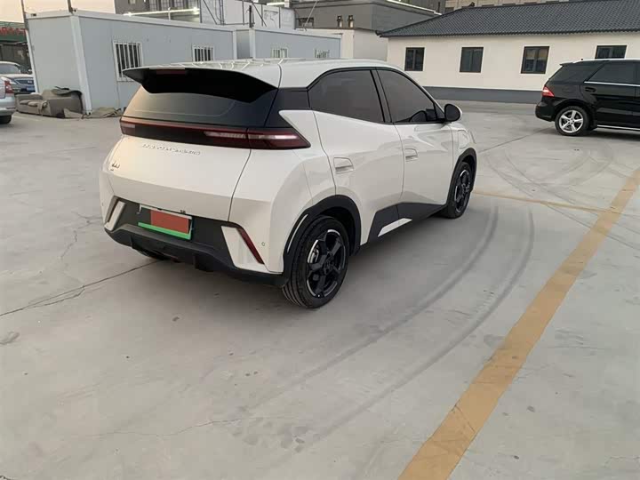 Фото 5 - BYD Seagull