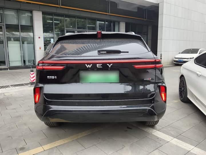 Фото 6 - Wey Mocca Hybrid