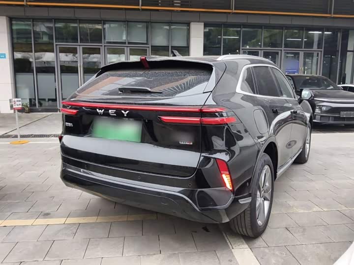 Фото 7 - Wey Mocca Hybrid