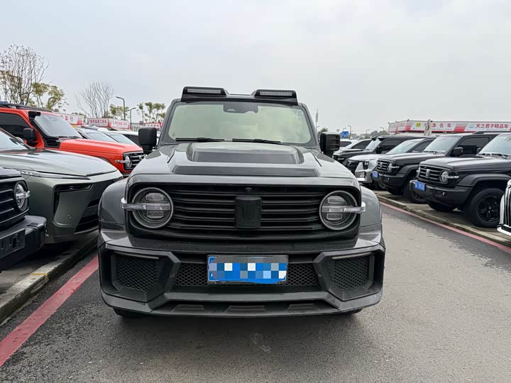 Фото 2 - Tank 300