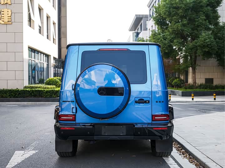 Фото 5 - Mercedes-Benz G-Class