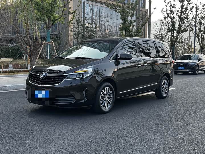 Фото 1 - Buick GL8 ES