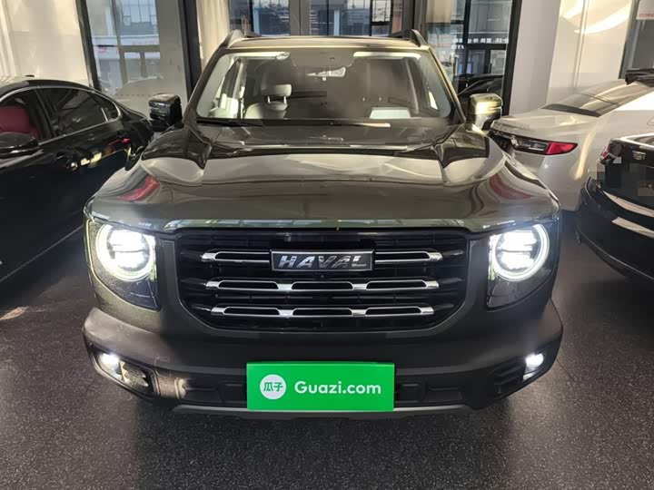 Фото 3 - Haval Dargo