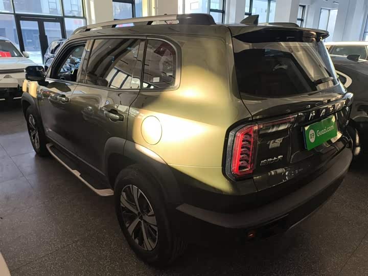 Фото 5 - Haval Dargo