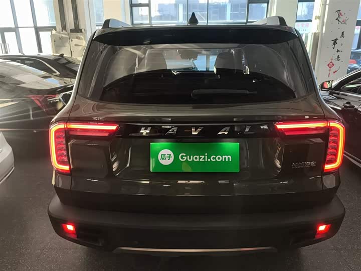 Фото 6 - Haval Dargo