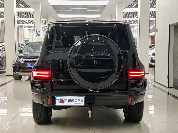 Фото 5 - Tank 700 Hybrid