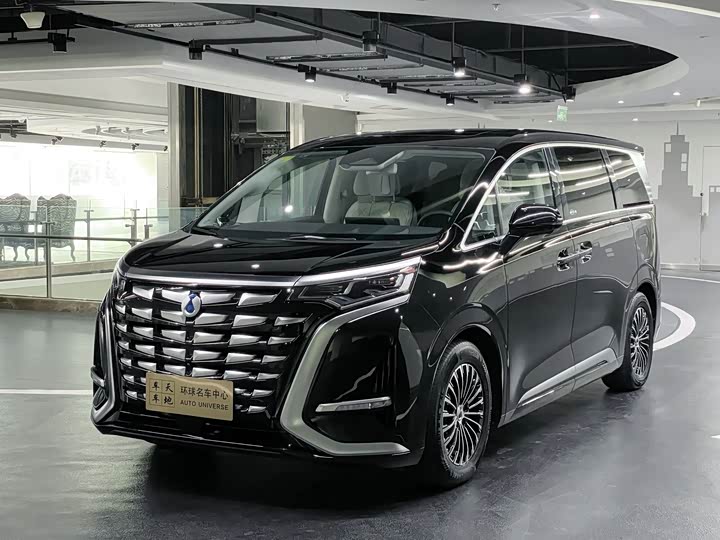 Фото 1 - Denza D9