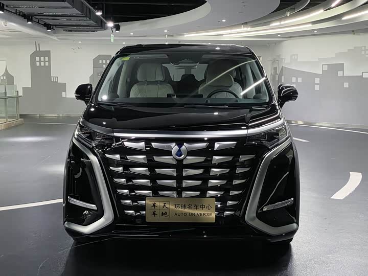 Фото 2 - Denza D9